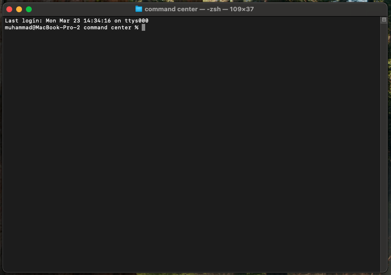 Terminal ready for claude command